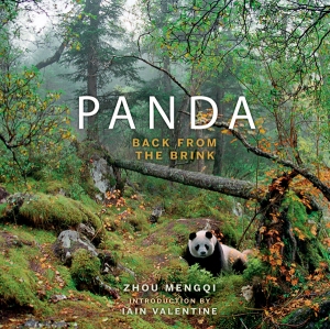 Panda: Back from the Brink (cover)