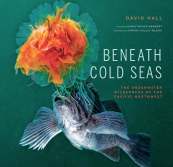 Beneath Cold Seas cover